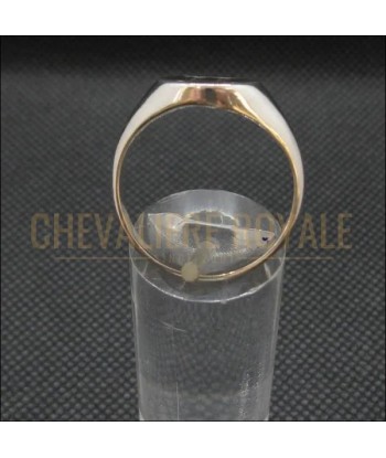 Bague style chevalière en argent massif gémeaux zodiaque 50-70% off 