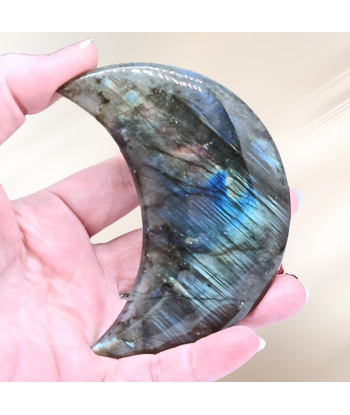 Lune polie en Labradorite (PRGFL397-5) livraison et retour toujours gratuits