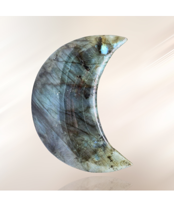 Lune polie en Labradorite (PRGFL397-5) livraison et retour toujours gratuits