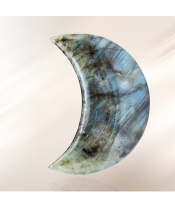 Lune polie en Labradorite (PRGFL397-5) livraison et retour toujours gratuits