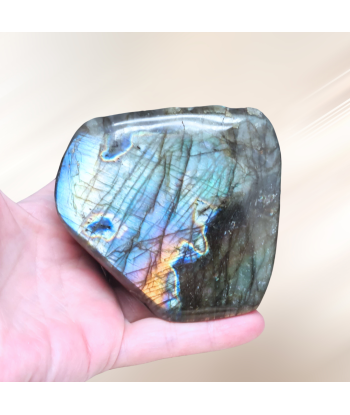 Forme Libre Labradorite 464g (PRGFL527-3) Paris Déstockage Promo