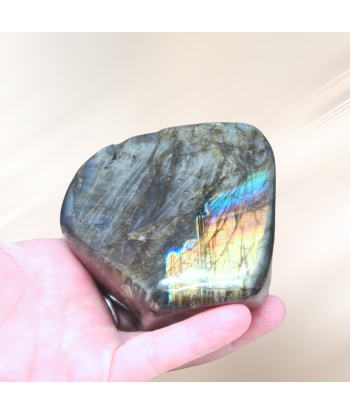 Forme Libre Labradorite 464g (PRGFL527-3) Paris Déstockage Promo