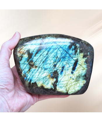 Forme libre en Labradorite 1229g (PRGFL527-9) acheter