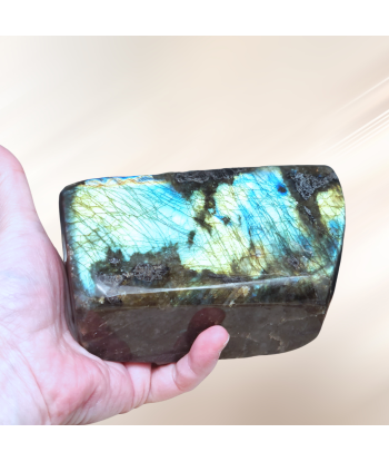 Forme libre en Labradorite 1229g (PRGFL527-9) acheter