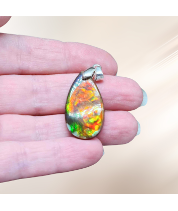 Pendentif en Ammolite (PE1814) paiement sécurisé