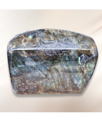 Forme libre en Labradorite 1229g (PRGFL527-9) acheter