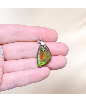 Pendentif en Ammolite (PE1909-1) acheter