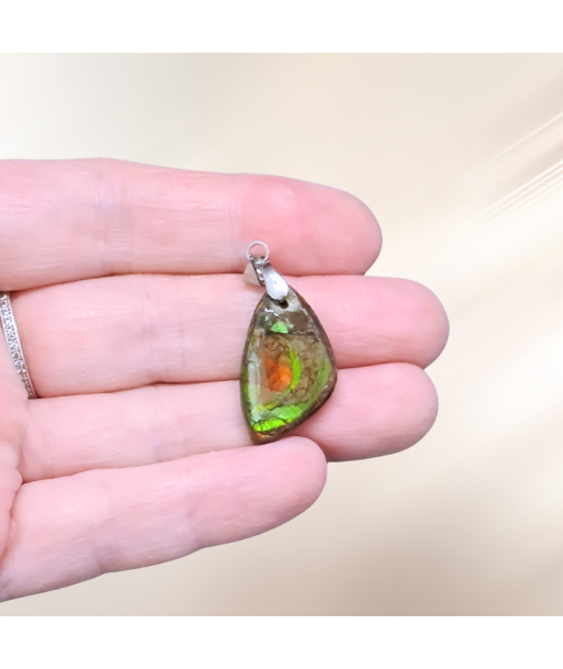 Pendentif en Ammolite (PE1909-1) acheter