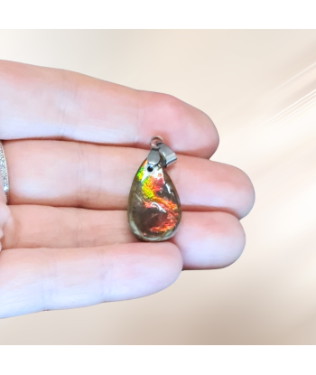 Pendentif en Ammolite (PE1909-2) Pour