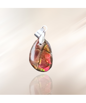 Pendentif en Ammolite (PE1909-3) Livraison rapide