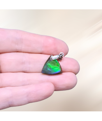 Pendentif en Ammolite (PE1909-4) En savoir plus