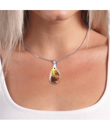 Pendentif en Ammolite (PE1909-2) Pour