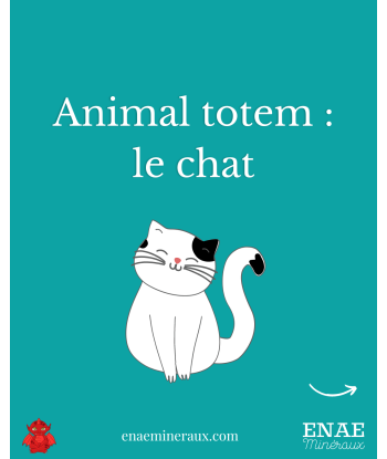 Chat en Calcédoine (PRGFL689) français