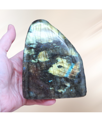 Forme Libre Labradorite 921g (PRGFL527-7) votre