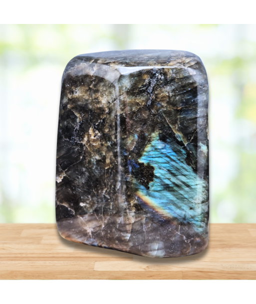 Forme Libre Labradorite 838g (PRGFL527-8) suggérées chez