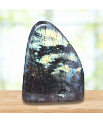 Forme Libre Labradorite 921g (PRGFL527-7) votre