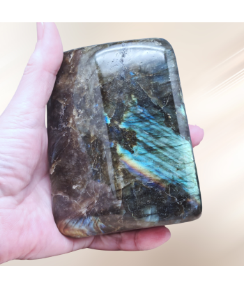 Forme Libre Labradorite 838g (PRGFL527-8) suggérées chez