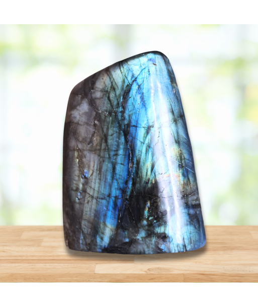 Forme Libre en Labradorite 1015g (PRGFL527-6) Les êtres humains sont 