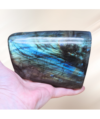 Forme Libre en Labradorite 1015g (PRGFL527-6) Les êtres humains sont 