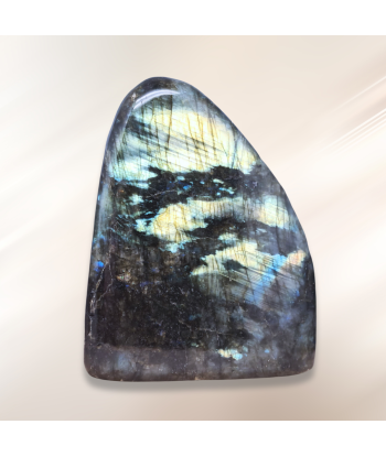 Forme Libre Labradorite 921g (PRGFL527-7) votre