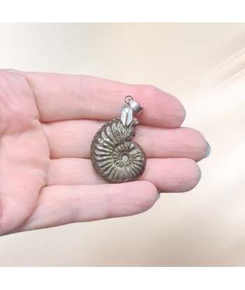 Pendentif en Ammonite et Pyrite (PE1981) 2024