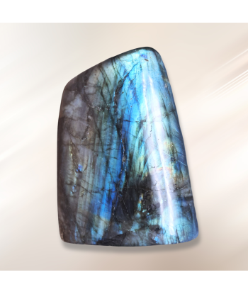 Forme Libre en Labradorite 1015g (PRGFL527-6) Les êtres humains sont 