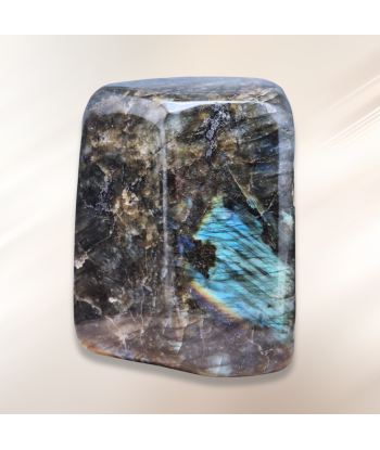 Forme Libre Labradorite 838g (PRGFL527-8) suggérées chez