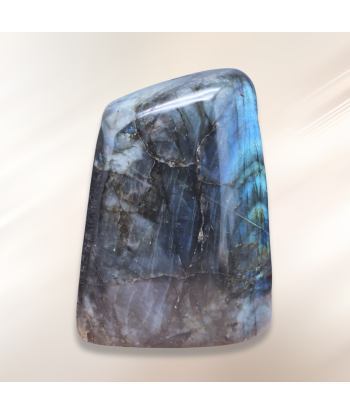 Forme Libre en Labradorite 1015g (PRGFL527-6) Les êtres humains sont 