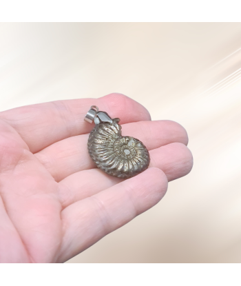 Pendentif en Ammonite et Pyrite (PE1981) 2024