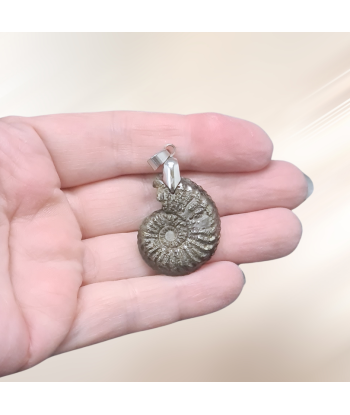 Pendentif en Ammonite et Pyrite (PE1981) 2024