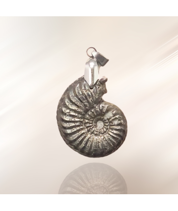 Pendentif en Ammonite et Pyrite (PE1981) 2024