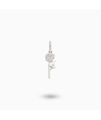 Silver rose acheter en ligne