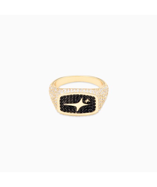 Iced Rectangle signet ring gold la livraison gratuite