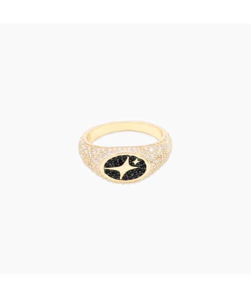 Iced Oval signet ring gold prix