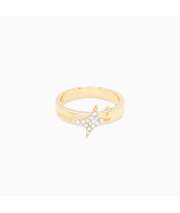 Iced signature ring gold Fin de série