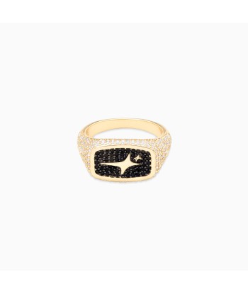 Iced Rectangle signet ring dorée prix pour 